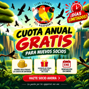 Nuevos Socios