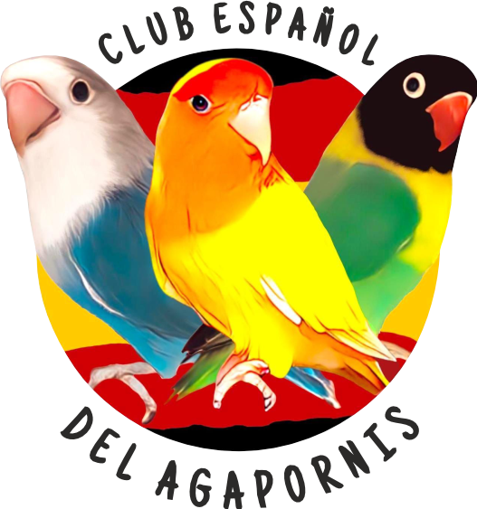 Club Español del Agapornis