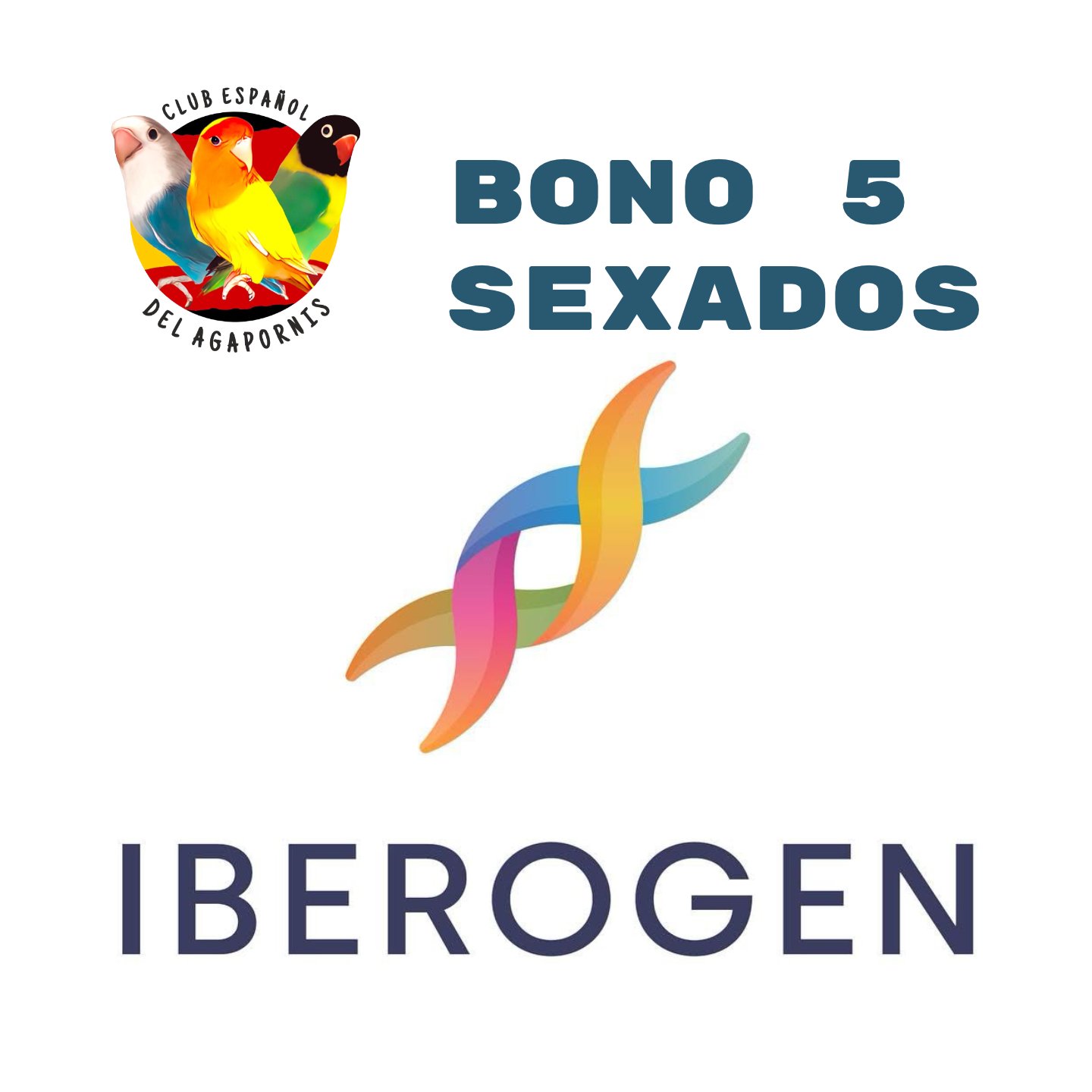 Bono 05 Sexados