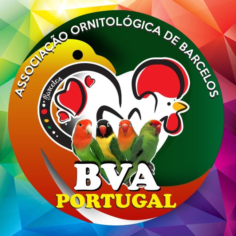 Rumbo a Portugal