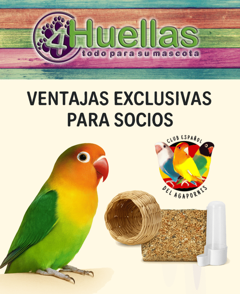 ¡Atención socios! Ya podemos comprar en 4Huellas