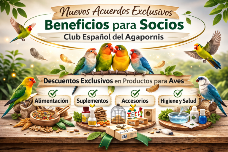 Nuevos descuentos exclusivos para socios